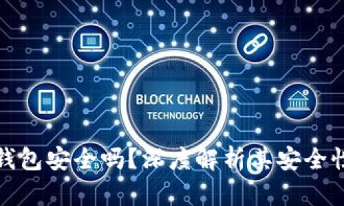 实体加密钱包安全吗？深度解析其安全性与可靠性