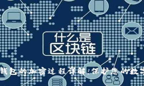 0pp0手机钱包的加密过程详解：保护您的数字资产安全