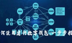 如何使用建行数字钱包：