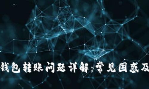 : 区块链钱包转账问题详解：常见困惑及解决方案