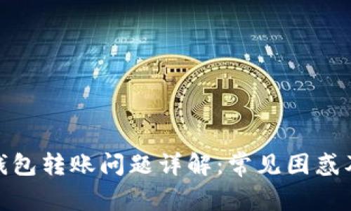 : 区块链钱包转账问题详解：常见困惑及解决方案