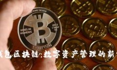 轻钱包区块链：数字资产