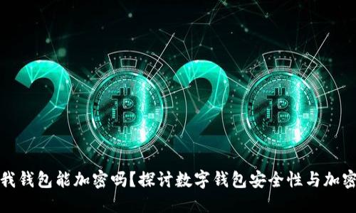 抖抖我钱包能加密吗？探讨数字钱包安全性与加密技术