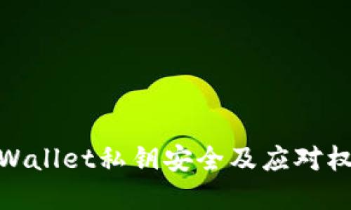 如何保护tpWallet私钥安全及应对权限被盗风险