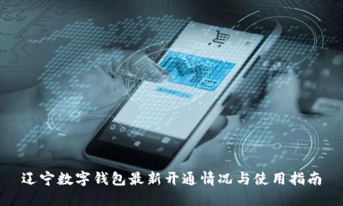 辽宁数字钱包最新开通情况与使用指南