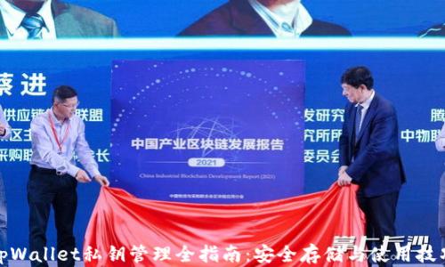 
tpWallet私钥管理全指南：安全存储与使用技巧
