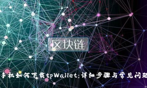 苹果手机如何下载tpWallet：详细步骤与常见问题解析