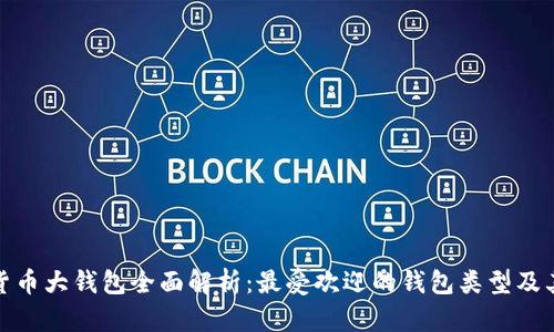 数字货币大钱包全面解析：最受欢迎的钱包类型及其优势