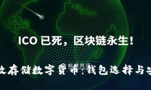 如何有效存储数字货币：钱包选择与安全指南