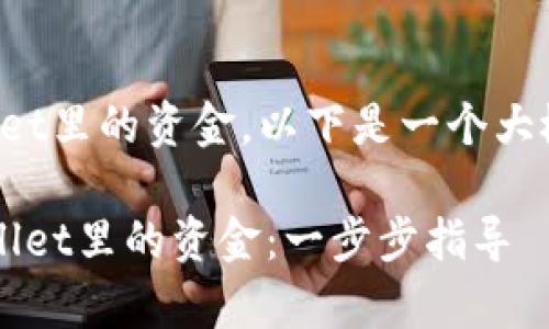 关于如何导入tpWallet里的资金，以下是一个大概的结构和内容概要：

 如何高效导入tpWallet里的资金：一步步指导