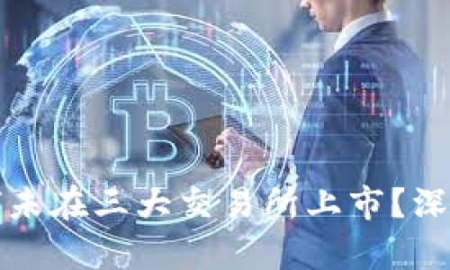 tpWallet为何未在三大交易所上市？深入分析与探讨