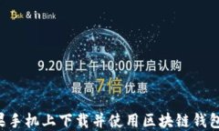 如何在苹果手机上下载并