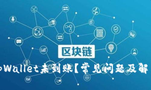 : 提币到tpWallet未到账？常见问题及解决办法详解