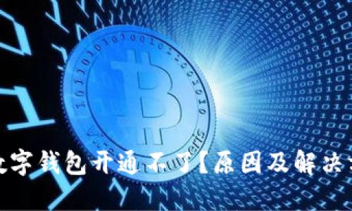 : 招商数字钱包开通不了？原因及解决方法详解