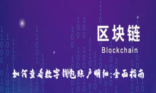 如何查看数字钱包账户明细：全面指南