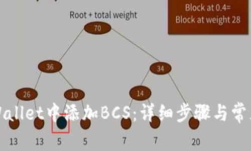 如何在tpWallet中添加BCS：详细步骤与常见问题解答