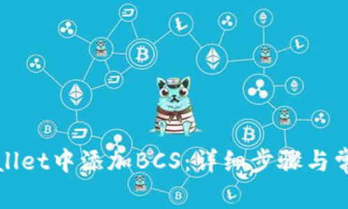如何在tpWallet中添加BCS：详细步骤与常见问题解答