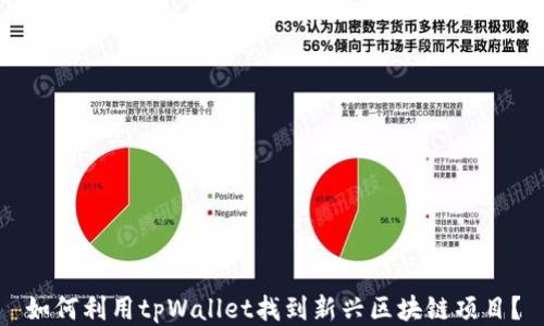 如何利用tpWallet找到新兴区块链项目?