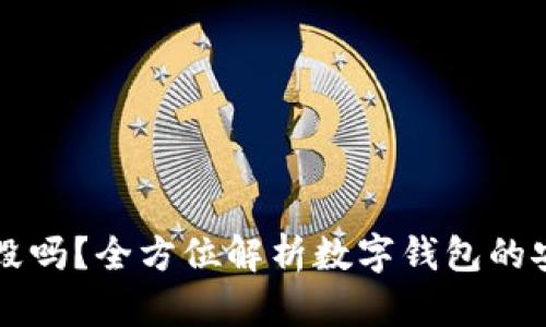 tpWallet能被销毁吗？全方位解析数字钱包的安全性与使用方法