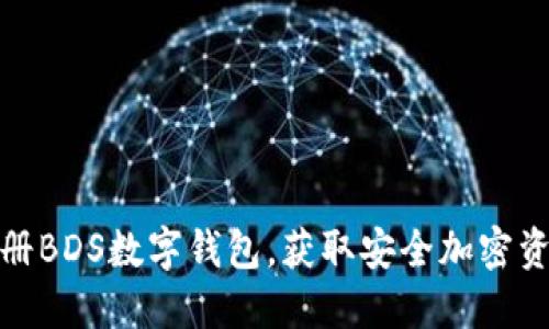 如何高效注册BDS数字钱包，获取安全加密资产管理体验