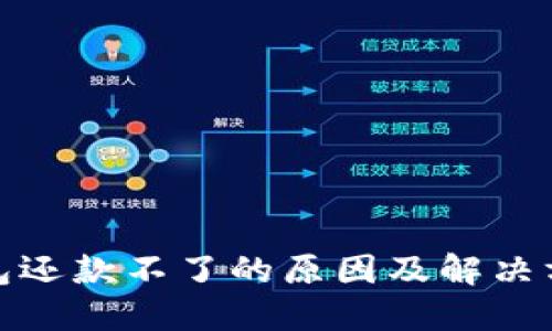 数字钱包还款不了的原因及解决方案详解