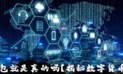 有区块链钱包就是真的吗