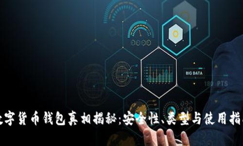 数字货币钱包真相揭秘：安全性、类型与使用指南