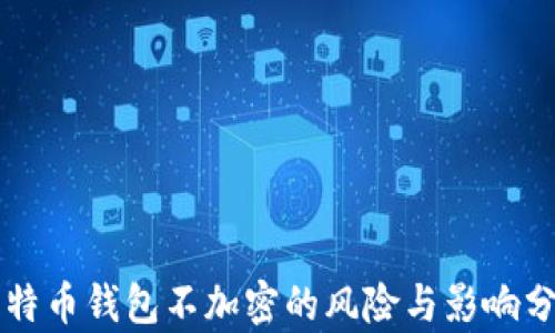 
比特币钱包不加密的风险与影响分析