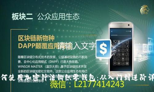 如何使用加密针法钩织零钱包：从入门到进阶详解