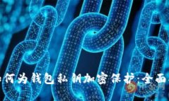 : 如何为钱包私钥加密保护：全面指南