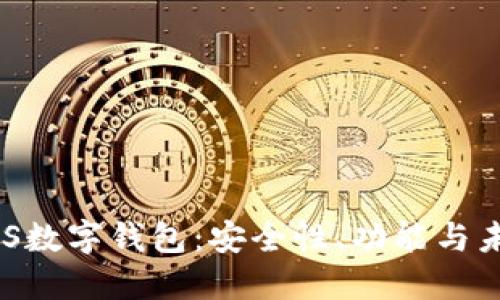 深入探讨BHS数字钱包：安全性、功能与未来发展趋势