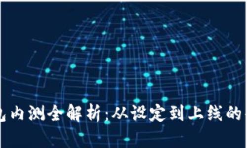 区块链钱包内测全解析：从设定到上线的每一步详解