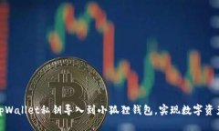 : 如何将tpWallet私钥导入到