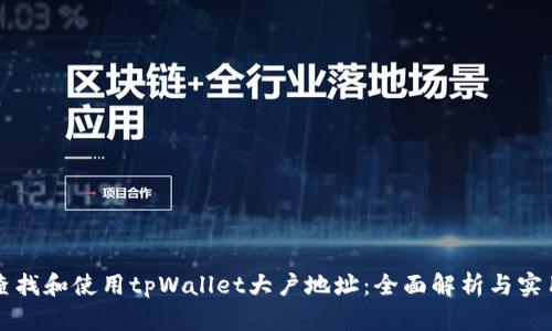 如何查找和使用tpWallet大户地址：全面解析与实用指南