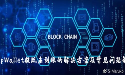 : tpWallet提现未到账的解决方案及常见问题解答