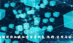 全面解析新加坡加密货币钱包：选择、使用与安