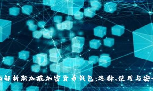 全面解析新加坡加密货币钱包：选择、使用与安全性