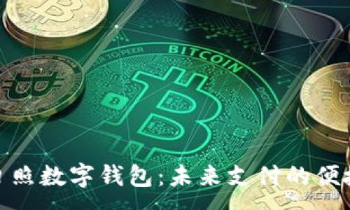 :
探索日照数字钱包：未来支付的便捷之选
