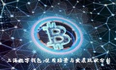 上海数字钱包：使用场景