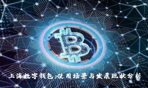 上海数字钱包：使用场景与发展现状分析