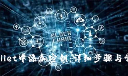 如何在tpWallet中添加密钥：详细步骤与常见问题解答