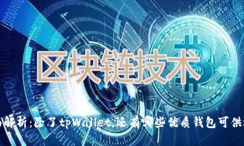 全面解析：除了tpWallet，还有哪些优质钱包可供选择