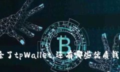 全面解析：除了tpWallet，还有哪些优质钱包可供选