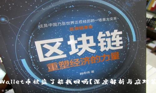 tpWallet币被盗了能找回吗？深度解析与应对策略