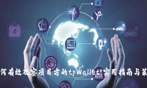 如何有效观察项目方的tpWallet：实用指南与策略