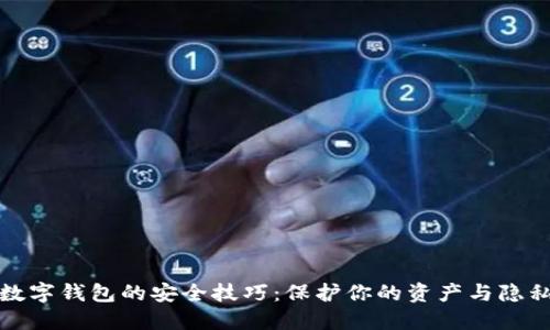 数字钱包的安全技巧：保护你的资产与隐私