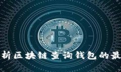 全面解析区块链查询钱包的最佳工具