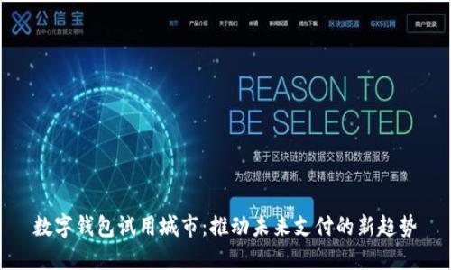 数字钱包试用城市：推动未来支付的新趋势