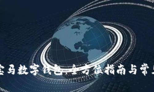 如何开启宝马数字钱包：全方位指南与常见问题解答