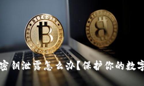 tpWallet密钥泄露怎么办？保护你的数字资产安全